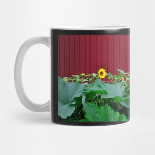 Sunflowers Against Barn Mug